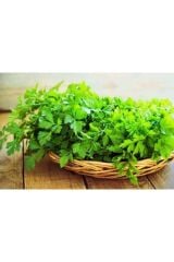 1 Kg Üreaz Azotlu Saf Azot