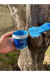 Aşı Budama Macunu 1000 gram 1 kg 1 Kilo Isıtmaya Gerek Yok Kullanıma Hazır Fırça ile Sürülebilir