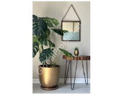 Genel Kullanım Için Hazır Bitki Besini 750 Ml Sprey (Yaprak -Sulama suyu  ile Toprağa )