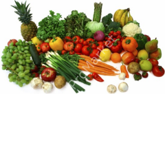 Etıdot 67 Borlu Gübre 20 Kg