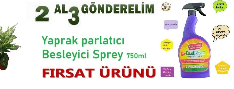 2 al 3 gönderelim